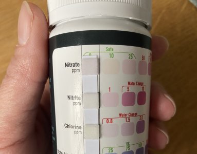 IMG_2651.jpeg IMG_2651.jpeg