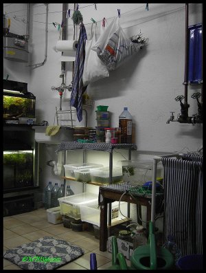 Futterregal2.jpg Futterregal2.jpg