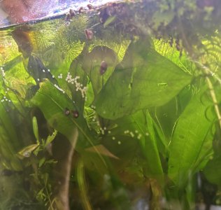 IMG_4044.jpeg IMG_4044.jpeg