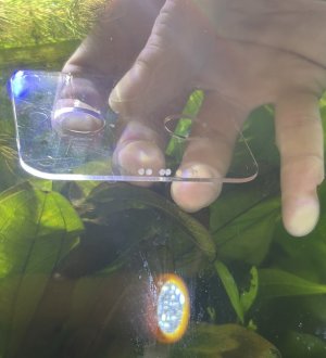 IMG_4045.jpeg IMG_4045.jpeg