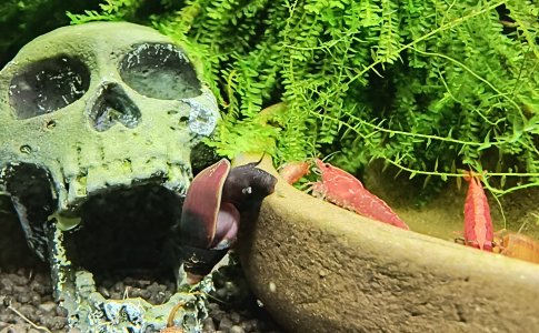 IMG_20250411_185017994_HDR_1.jpg IMG_20250411_185017994_HDR_1.jpg