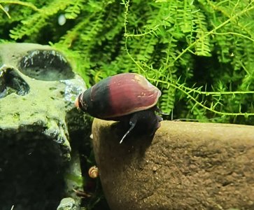 IMG_20250411_185053341_HDR_1.jpg IMG_20250411_185053341_HDR_1.jpg