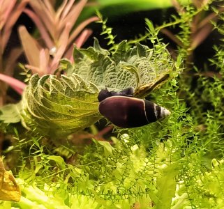 IMG_20250415_094341970_1.jpg IMG_20250415_094341970_1.jpg