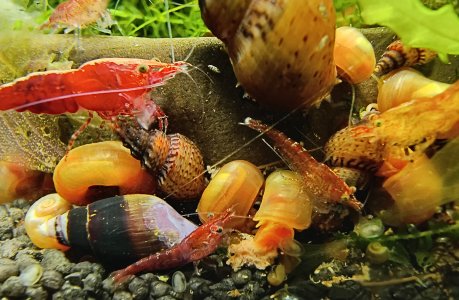 IMG_20250417_102859888_HDR_1.jpg IMG_20250417_102859888_HDR_1.jpg