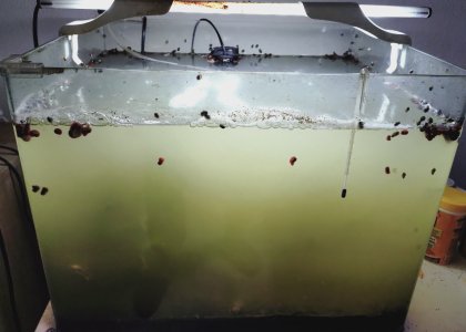 20250503_110920860 (1).JPG