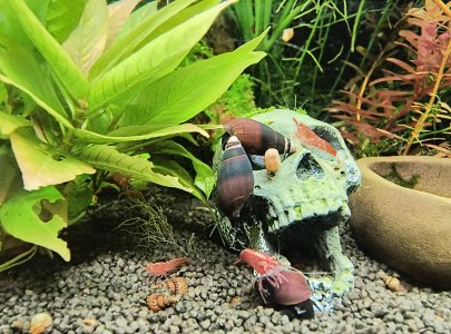 signal-2025-06-05-10-13-28-776.jpg signal-2025-06-05-10-13-28-776.jpg