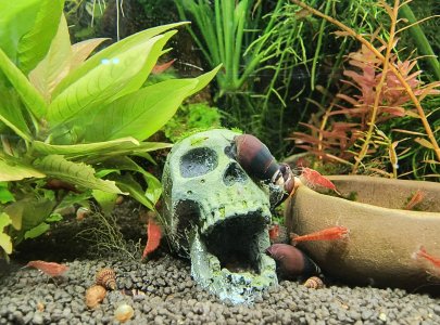 signal-2025-06-05-10-08-30-732.jpg signal-2025-06-05-10-08-30-732.jpg