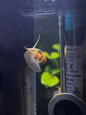 IMG_1681.jpeg IMG_1681.jpeg