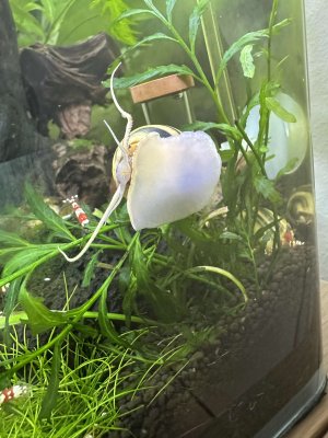 IMG_0955_.jpeg IMG_0955_.jpeg