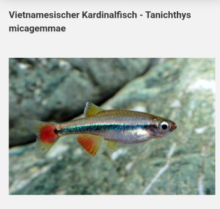 Screenshot_20250916-145406 (1).jpg