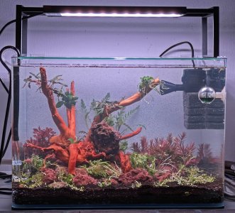 20250911_Aquastart.jpg
