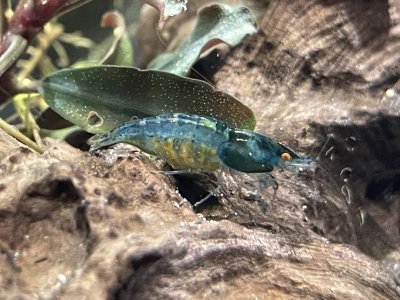 IMG_4813.jpeg IMG_4813.jpeg