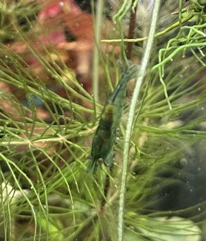 IMG_4410.jpeg IMG_4410.jpeg