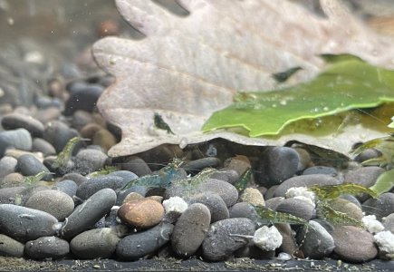 IMG_5783.jpeg IMG_5783.jpeg