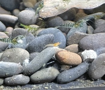 IMG_5788.jpeg IMG_5788.jpeg