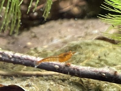 IMG_6768.jpeg IMG_6768.jpeg