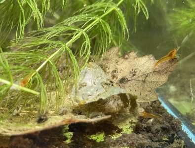 IMG_6766.jpeg IMG_6766.jpeg