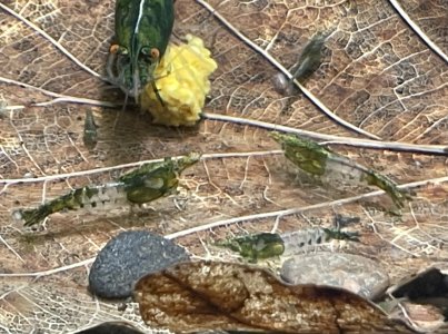 IMG_6852.jpeg IMG_6852.jpeg