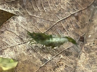 IMG_6483.jpeg IMG_6483.jpeg