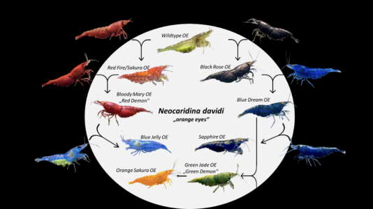 IMG_2826.png IMG_2826.png