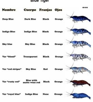 IMG_9830.jpeg IMG_9830.jpeg