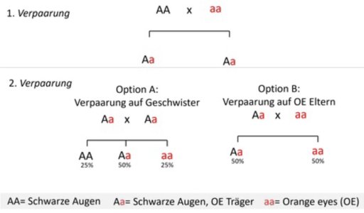 IMG_9845.jpeg IMG_9845.jpeg