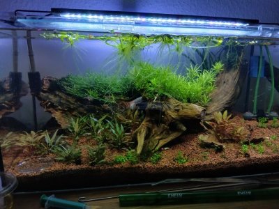 20260402_100450.jpg 20260402_100450.jpg