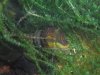 schnecke.jpg schnecke.jpg