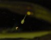 DSC00041.JPG