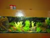 DSC01009.JPG