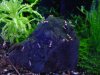 DSC01322.JPG
