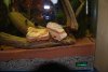 DSC_0021x.JPG