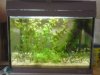 DSC00275.JPG