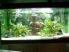 aquarium7.jpg aquarium7.jpg