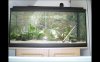 aquarium5.JPG aquarium5.JPG