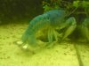 DSC00421.JPG