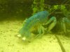 DSC00420.JPG