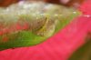 DSC01129_klein.jpg DSC01129_klein.jpg