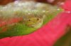 DSC01130_klein.jpg DSC01130_klein.jpg