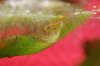 DSC01133_klein.jpg DSC01133_klein.jpg