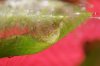 DSC01134_klein.jpg DSC01134_klein.jpg