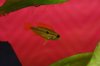 DSC01140_klein.jpg DSC01140_klein.jpg