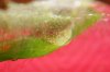 DSC01142_klein.jpg DSC01142_klein.jpg