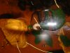 DSC00326.JPG