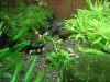 DSC00416.JPG