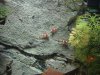 DSC00411.JPG
