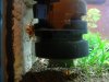 DSC00414.JPG