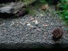 DSC00425.JPG