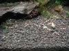 DSC00426.JPG