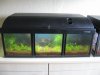 Aquarien 12 Liter 8.JPG